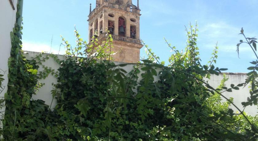 Entre 2 Mezquitas Apartamento 8 Cordoba Exterior photo